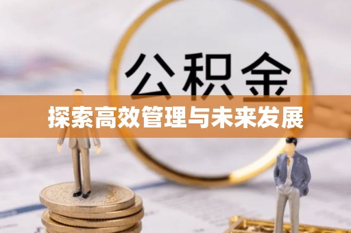 吴忠探索高效管理与未来发展