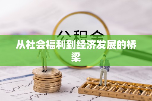 吴忠从社会福利到经济发展的桥梁
