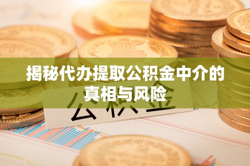 吴忠揭秘代办提取公积金中介的真相与风险