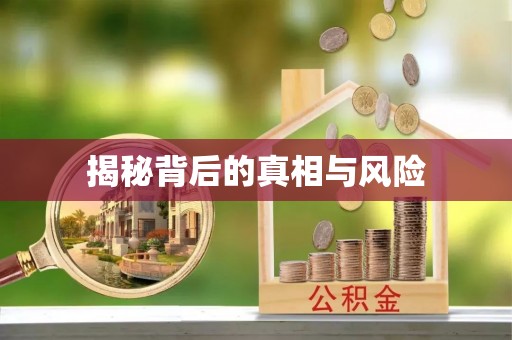 吴忠揭秘背后的真相与风险