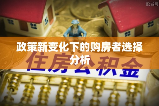 吴忠政策新变化下的购房者选择分析