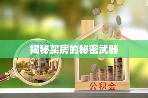 吴忠揭秘买房的秘密武器