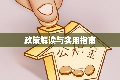 吴忠政策解读与实用指南