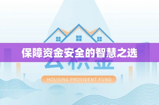 吴忠保障资金安全的智慧之选