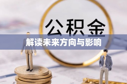 吴忠解读未来方向与影响