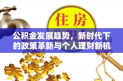 吴忠公积金发展趋势，新时代下的政策革新与个人理财新机遇