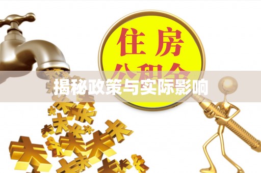 吴忠揭秘政策与实际影响