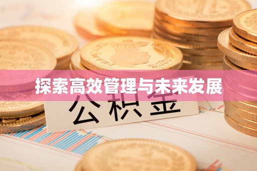 吴忠探索高效管理与未来发展