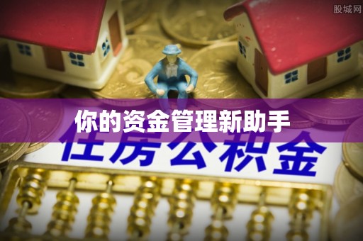 吴忠你的资金管理新助手