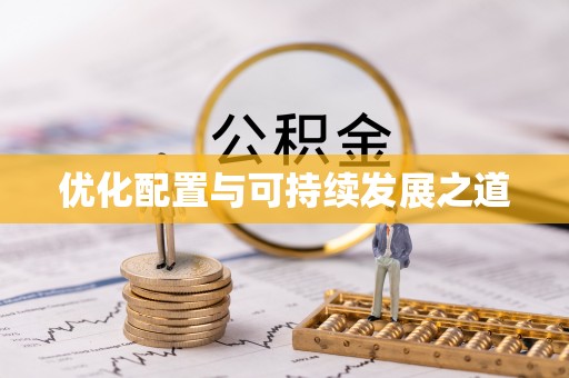 吴忠优化配置与可持续发展之道