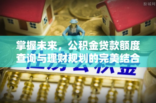 吴忠掌握未来，公积金贷款额度查询与理财规划的完美结合