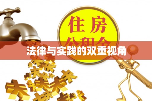 吴忠法律与实践的双重视角