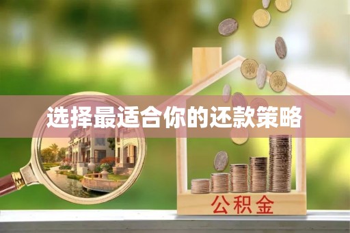 吴忠选择最适合你的还款策略